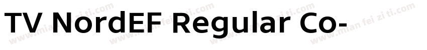 TV NordEF Regular Co字体转换